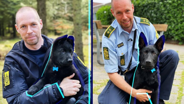 Lovens lange snude – Ivan skal til eksamen