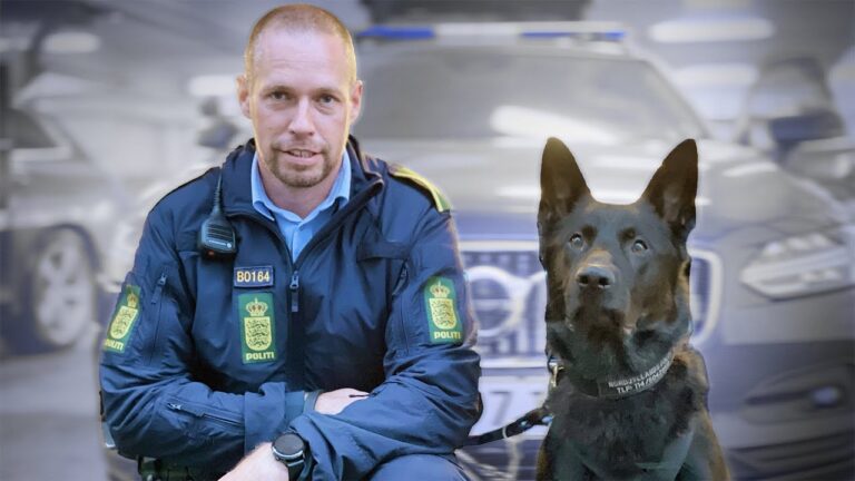 Lovens lange snude – Ivan er blevet ét år